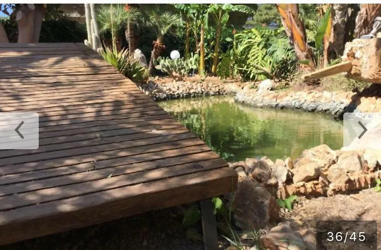 Casa Vacanza Blue Sea Apartment San Vito Lo Capo